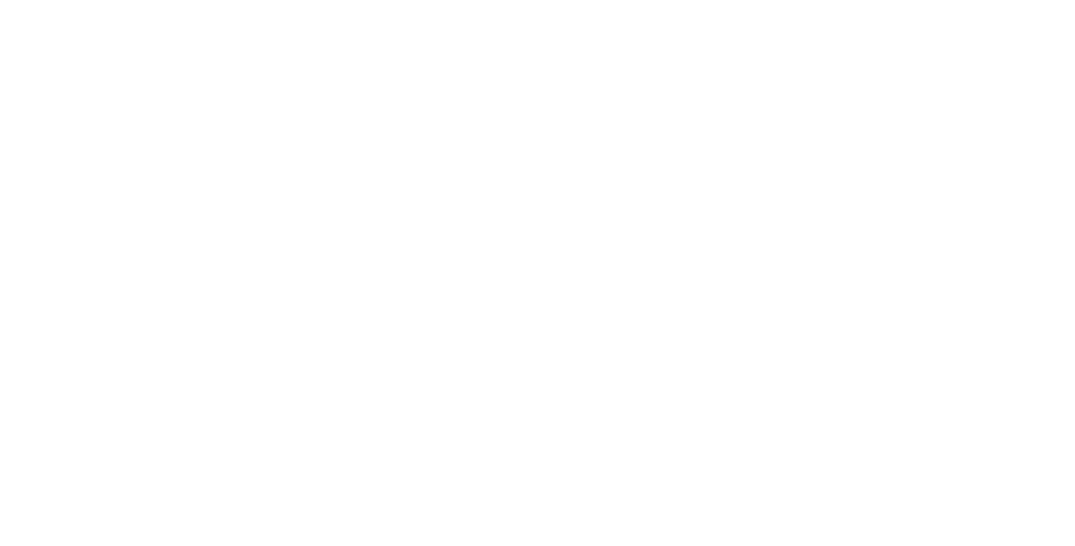 white Logo Bliss